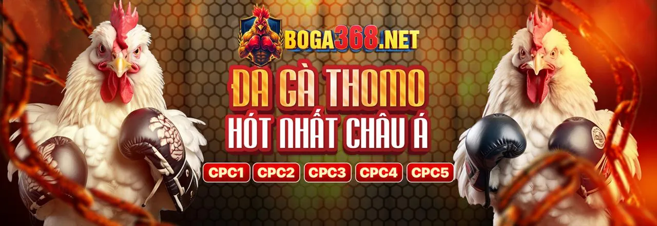 Sân đấu đá gà trực tuyến sôi động tại qq8827