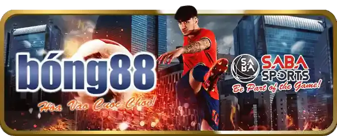 Quản lý tài khoản dễ dàng trên qq8827